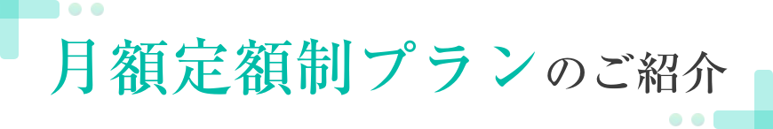 月額定額制プランのご紹介